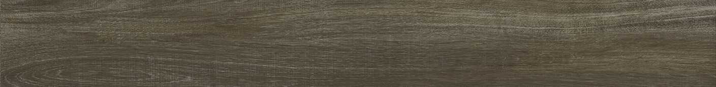 Amberwood Olmo 14.5x120 Matt