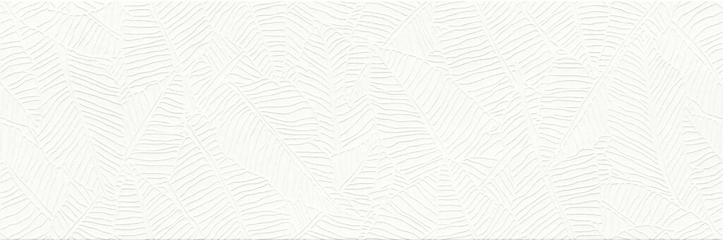 Ficus Chromatic White 33.3x100