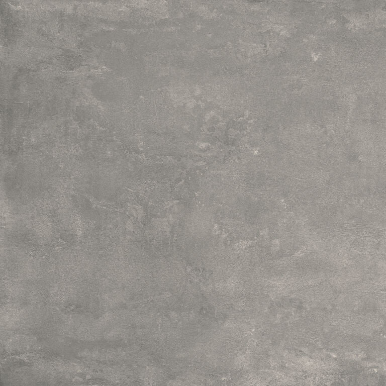 Cosmopolita Grey