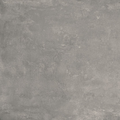 Cosmopolita Grey