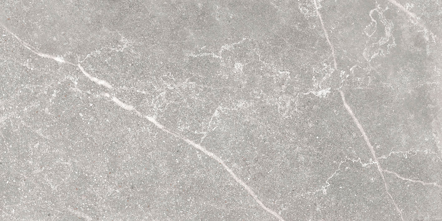 Soapstone Silver 30x60 Polished