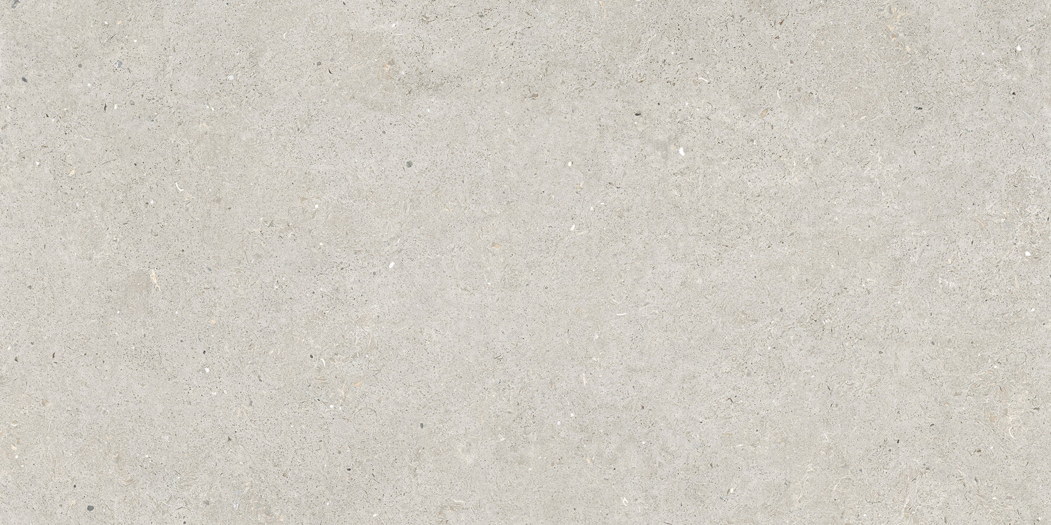 Somport Light 60x120 Matt