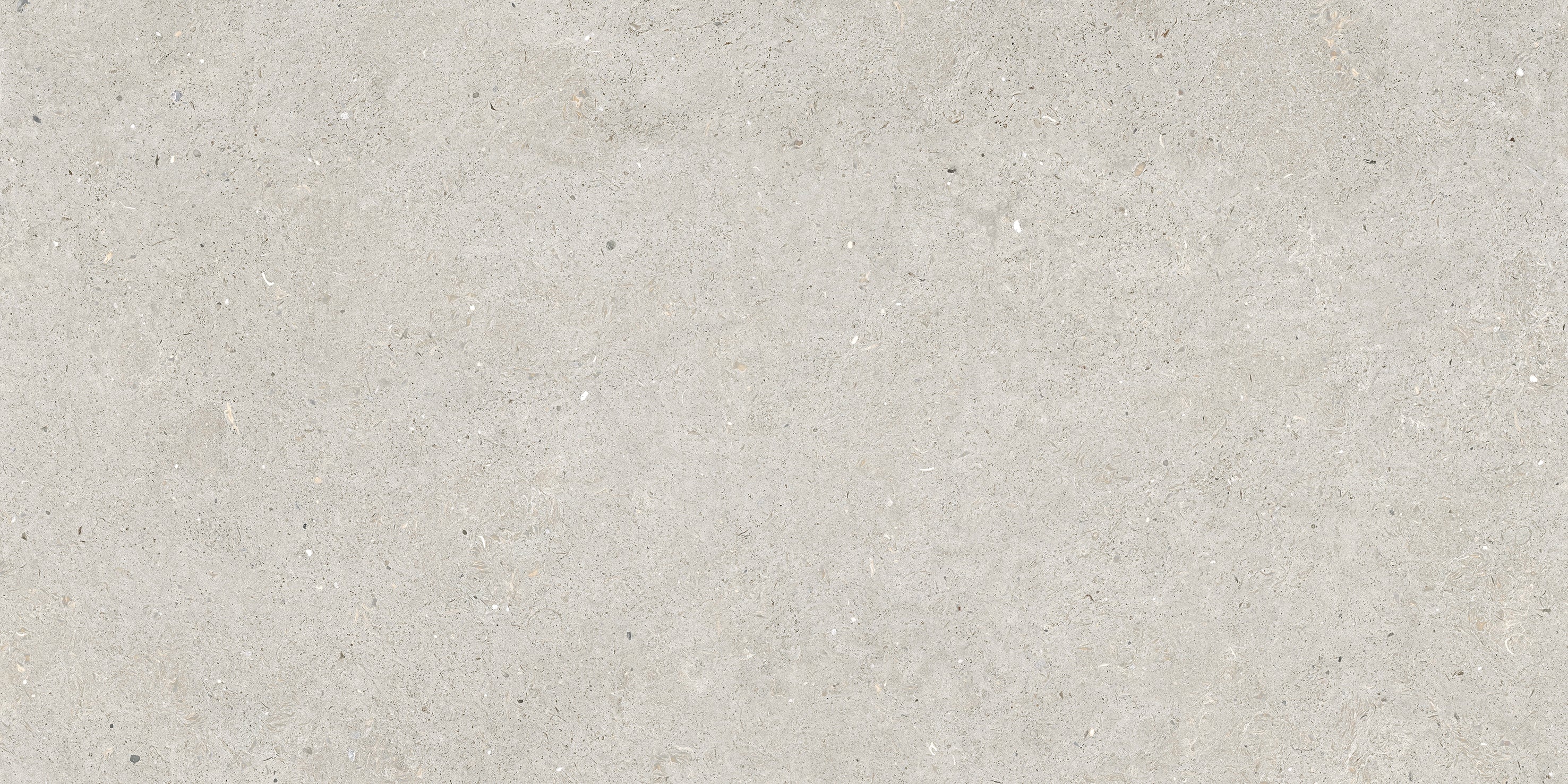 Somport Light 60x120 Matt