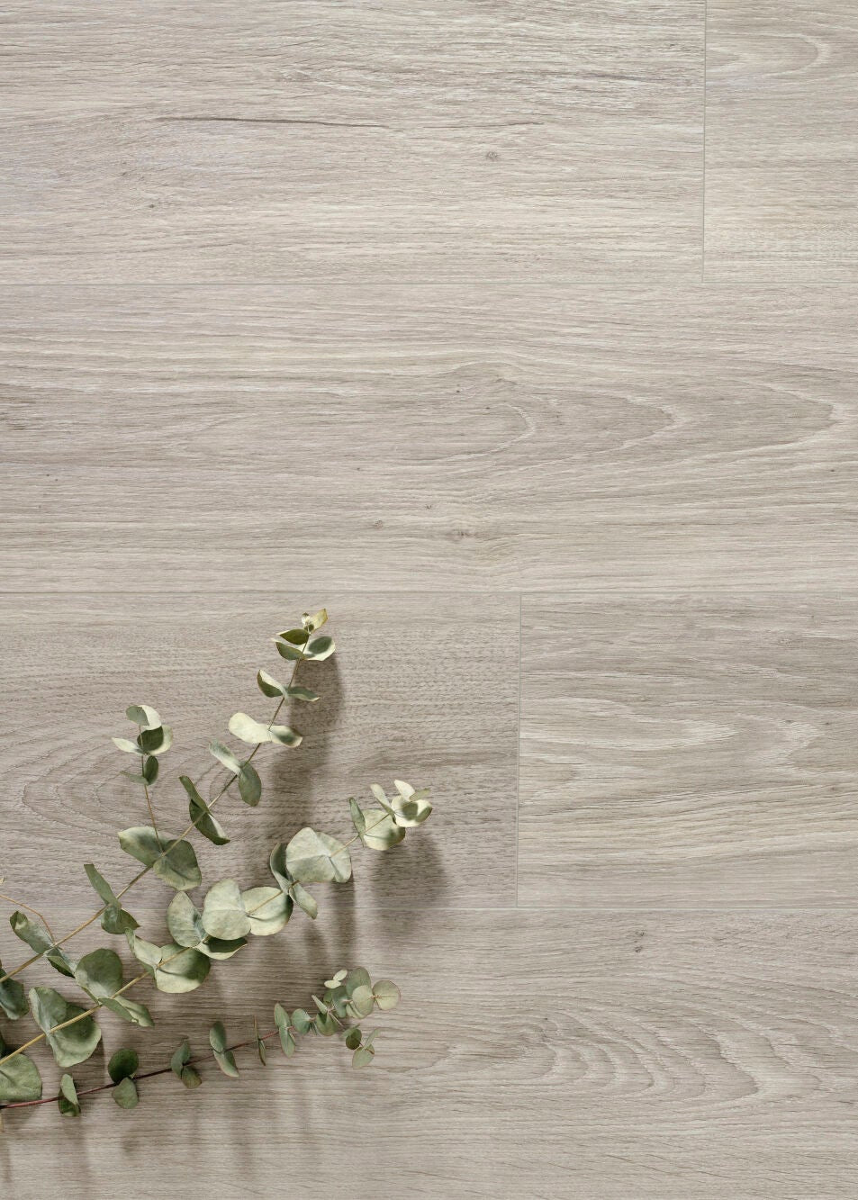 Chamonix Ash 10mm