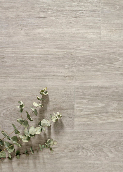 Chamonix Ash 10mm