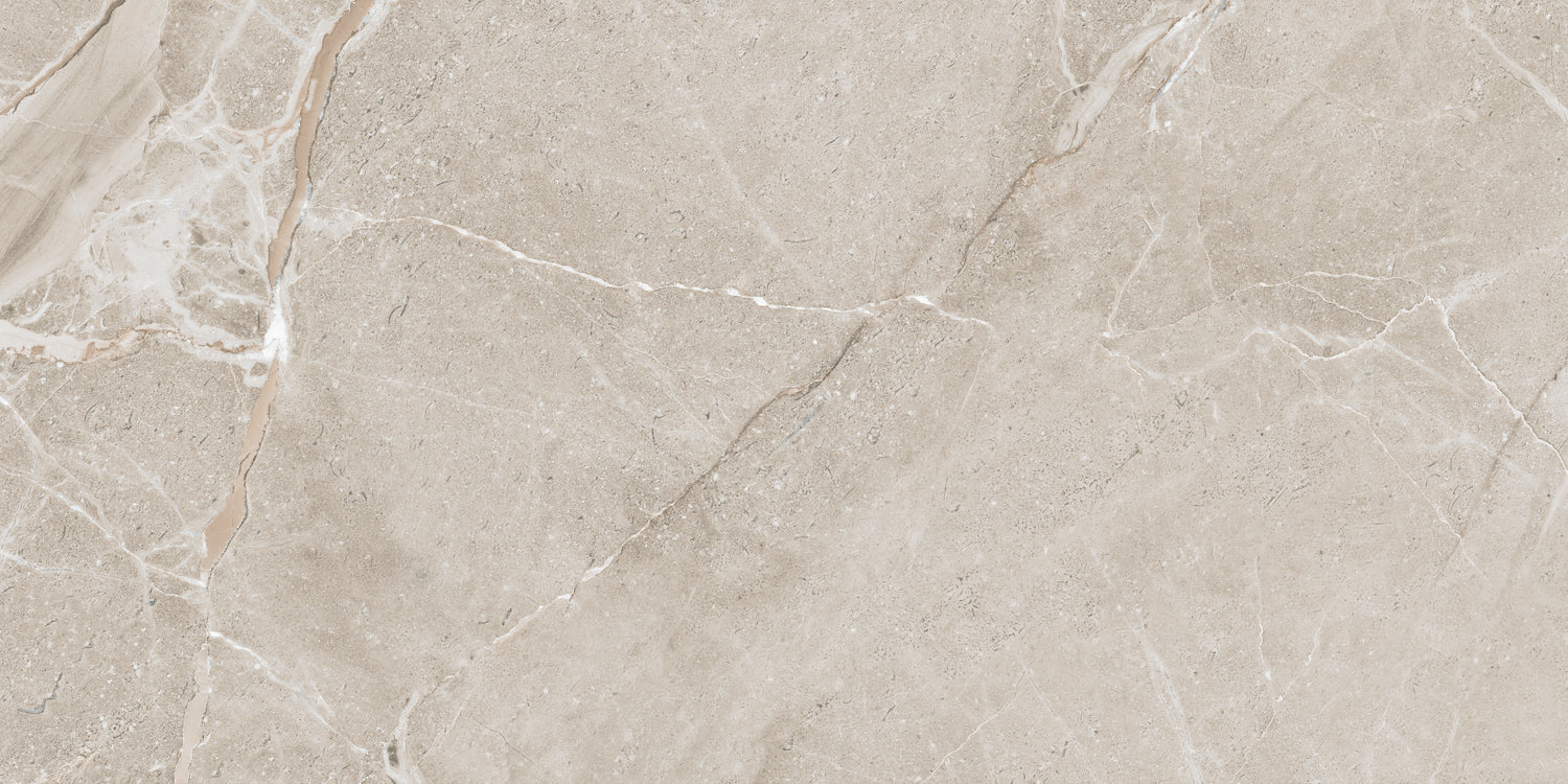 Close-up of a grey marble tile with  veining