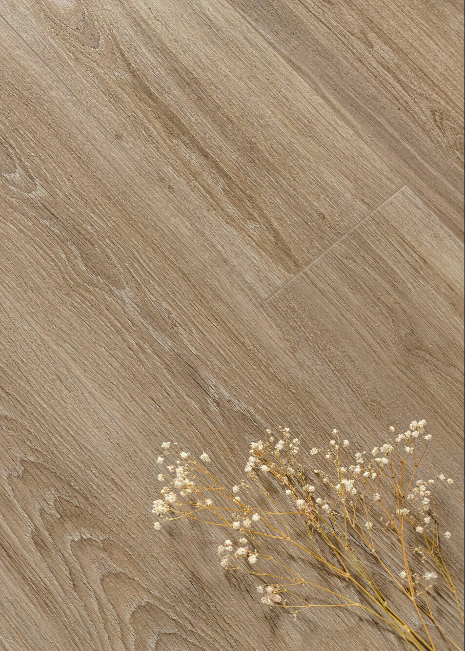 Chamonix Taupe 10mm