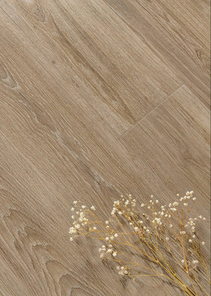 Chamonix Taupe 10mm